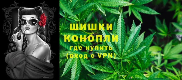 стаф Балахна