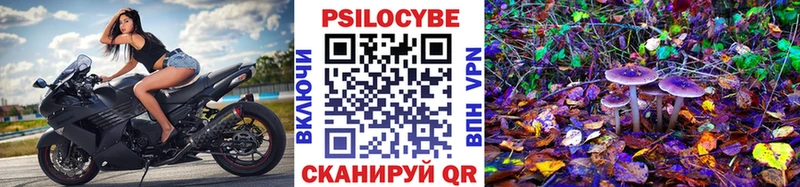 Псилоцибиновые грибы Psilocybine cubensis  купить наркотик  Ветлуга 
